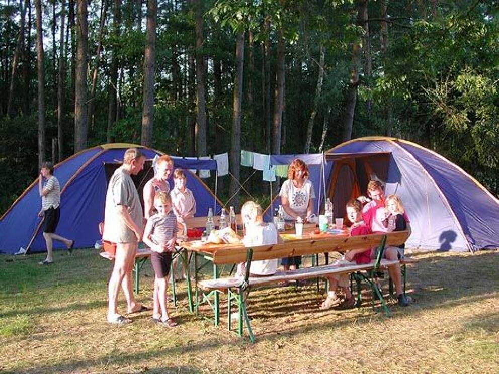 vickywood markise VICKYWOOD Seitenmarkise 250 cm grau  Monkey-Camper