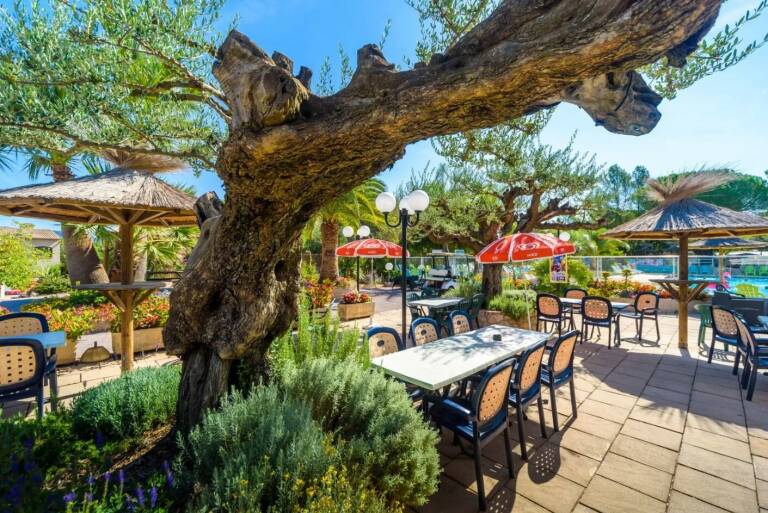 Campingnavigator | Domaine Chasteuil Verdon Provence - Provence -Alpes-Cte-D'Azur